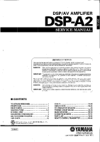 Yamaha DSPA-2 - Service Manual-part-1 